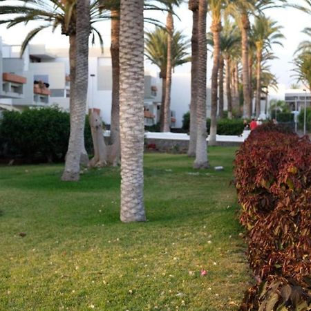 Vivienda Ida - Costa Del Silencio Tenerife Dış mekan fotoğraf